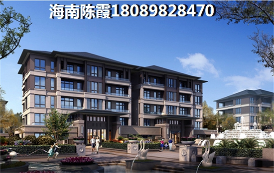 乐东九所房子还会涨价吗？