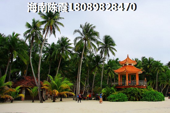 乐东龙栖湾海滩