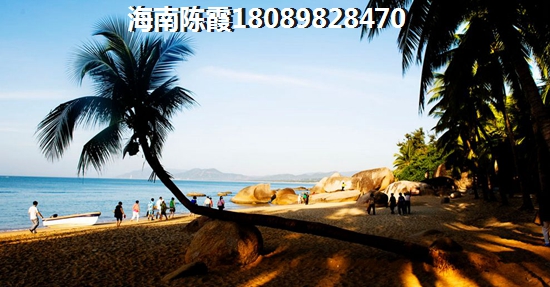 2025乐东九所房价优势解读~