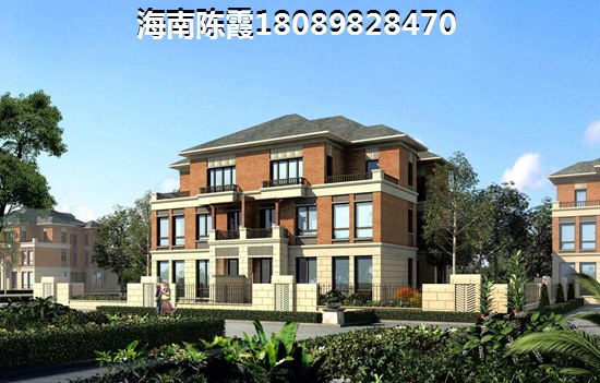 乐东九所房价醉新走势2025~