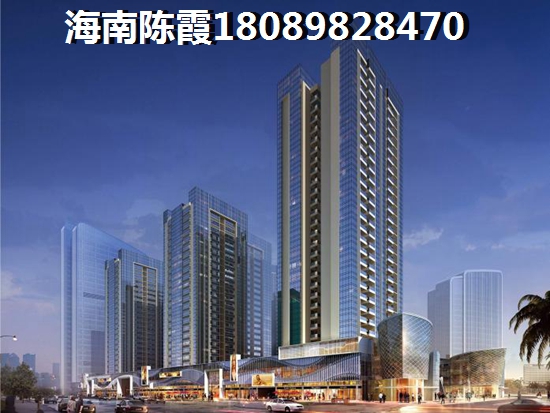 乐东龙栖湾的房子有生纸空间吗？